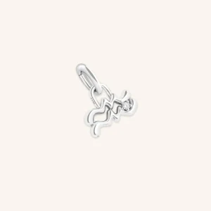 Aquarius Zodiac Talisman Charm in Silver