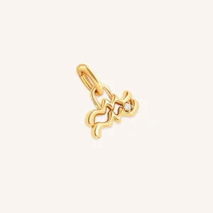 Aquarius Zodiac Talisman Charm in Gold