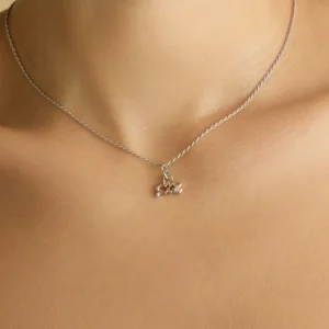 Aquarius Zodiac Talisman Charm in Silver