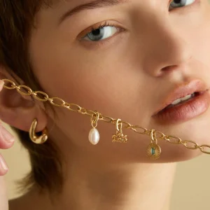 Aquarius Zodiac Talisman Charm in Gold