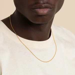 Chelsea Chain Necklace in Solid Gold